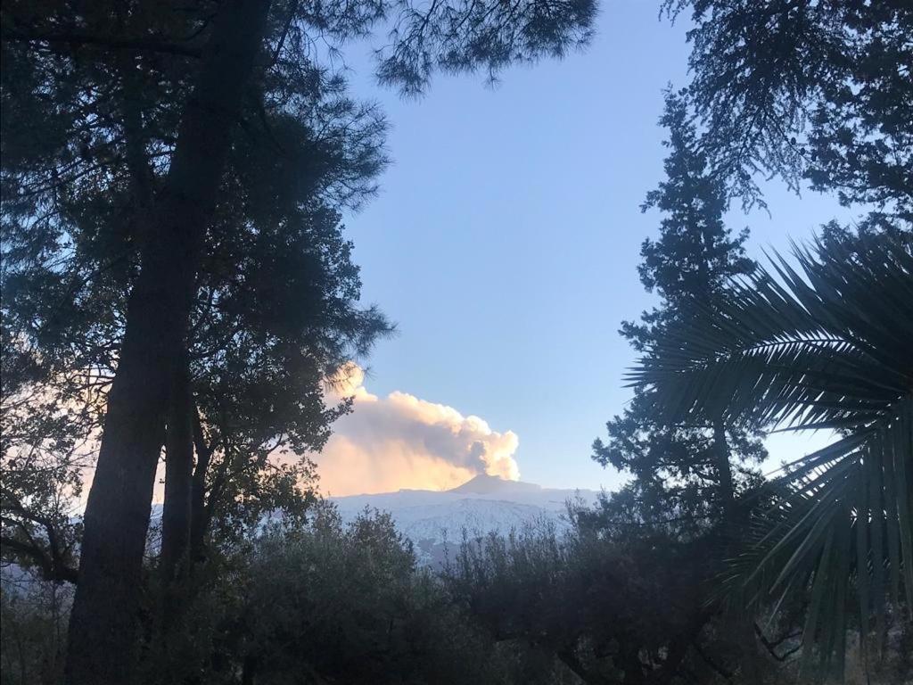 Agriturismo Sole Di Sicilia Рандаццо Екстер'єр фото